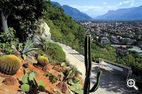 Tappeinerweg mit fantastischem Ausblick über Meran